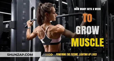Optimal Weekly Sets for Effective Muscle Growth and Strength Gains