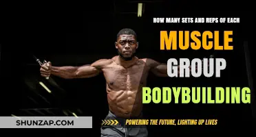 Optimal Sets and Reps for Muscle Growth in Bodybuilding