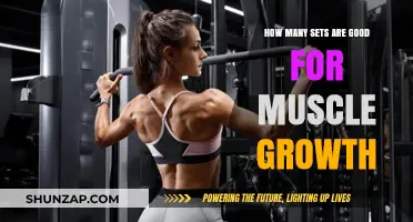 Optimal Sets for Muscle Growth: Finding Your Perfect Rep Range