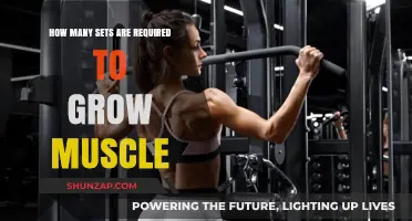Optimal Sets for Muscle Growth: Unlocking Strength and Size