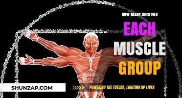 Optimal Sets Per Muscle Group: Maximizing Growth and Strength
