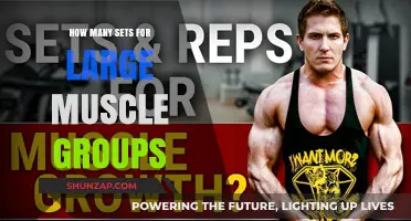 Maximize Growth: Optimal Sets for Large Muscle Groups Revealed