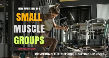 Optimal Sets for Small Muscle Groups: Maximizing Growth and Strength