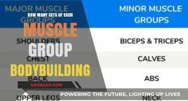 Optimal Sets for Muscle Growth: A Bodybuilding Guide by Group