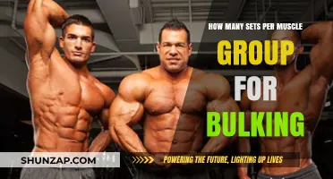 Optimal Sets Per Muscle Group for Effective Bulking Strategies