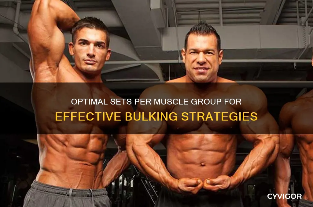 how many sets per muscle group for bulking
