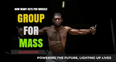 Optimal Sets Per Muscle Group for Maximum Muscle Mass Gains