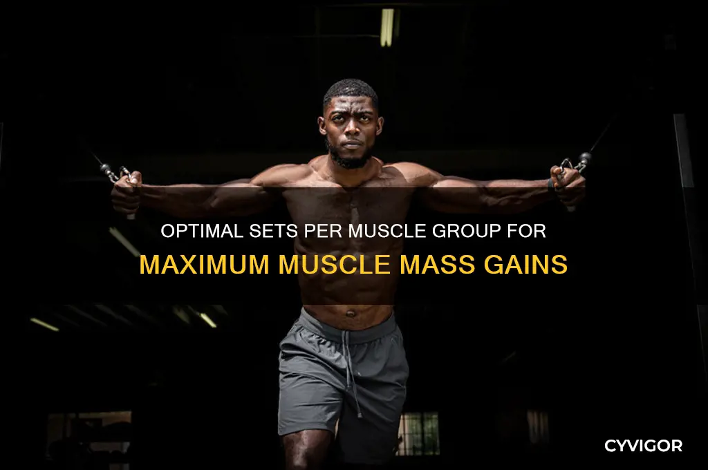 how many sets per muscle group for mass