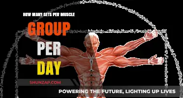 Optimal Sets Per Muscle Group Daily: Maximizing Gains Efficiently