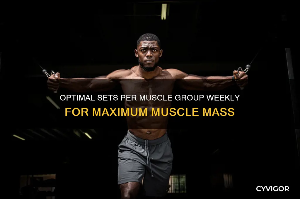how many sets per muscle group per week for mass