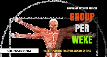 Optimal Sets Per Muscle Group Weekly: Maximizing Growth and Recovery