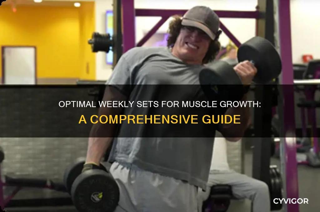 how many sets per muscle group weekly