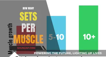 Building Muscle: Optimal Sets for Growth