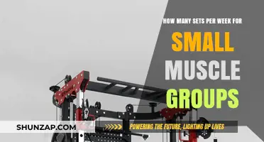 Optimizing Weekly Sets for Small Muscle Groups: A Comprehensive Guide
