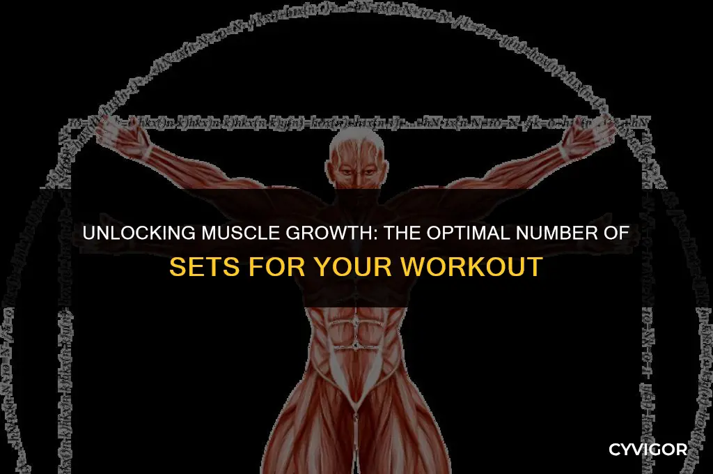 how many sets should i do to build muscle