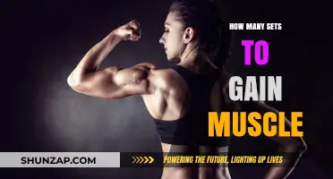 Optimal Sets for Muscle Growth: Maximizing Gains in Your Workouts