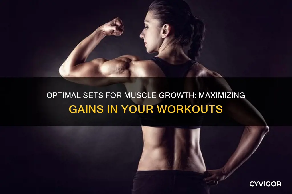 how many sets to gain muscle