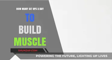 Daily Sit-Up Routine: Sculpting Your Core Muscles Effectively