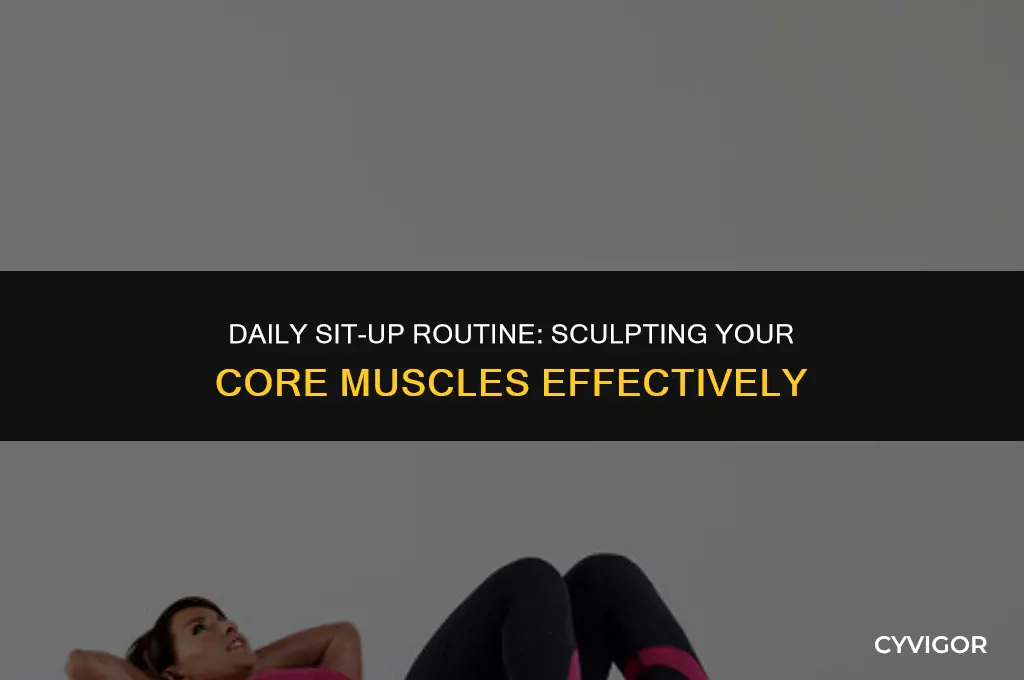 how many sit ups a day to build muscle