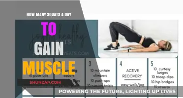 Daily Squat Routine: Building Muscle Mass Effectively and Safely
