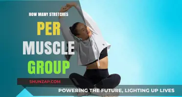 Optimal Stretching Routine: How Many Stretches Per Muscle Group?