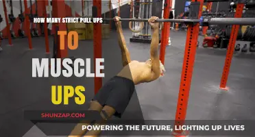 Mastering the Transition: Pull-Ups to Muscle-Ups Progression Guide