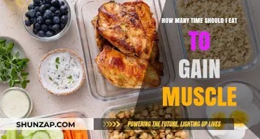 Optimal Meal Frequency for Muscle Gain: A Comprehensive Guide