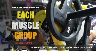 Optimal Muscle Group Training Frequency: Weekly Workout Splits Explained