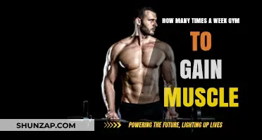 Optimal Gym Frequency for Muscle Gain: Weekly Workout Strategies