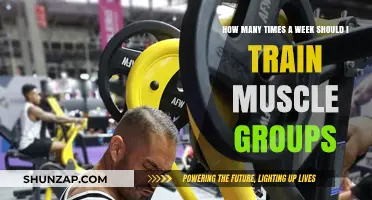 Optimal Muscle Training Frequency: How Often Should You Work Each Group?