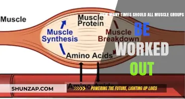Optimal Muscle Group Workout Frequency for Effective Strength Training
