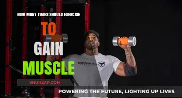 Optimal Workout Frequency for Effective Muscle Growth and Strength Gains