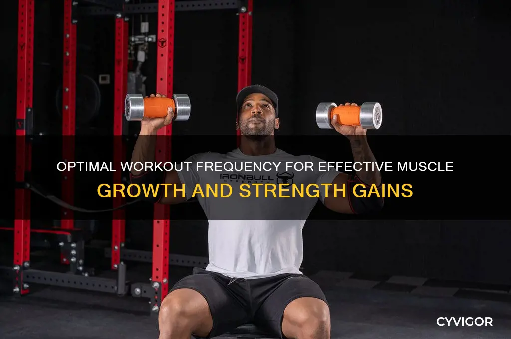 how many times should exercise to gain muscle