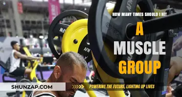 Optimal Muscle Group Frequency: How Often Should You Train Each?