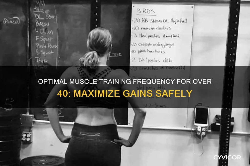 how many times should i train muscle groups over 40