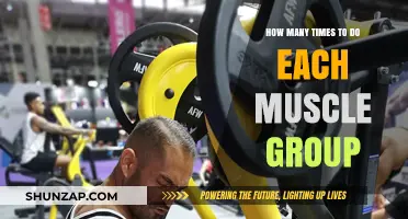 Optimal Muscle Group Training Frequency for Strength and Growth
