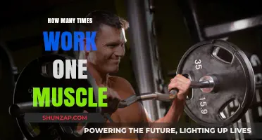 Maximizing Muscle Growth: Optimal Frequency for Targeted Workouts