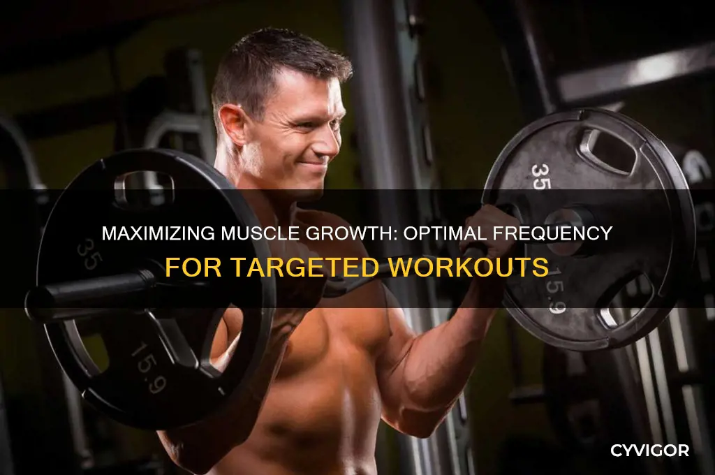 how many times work one muscle