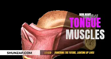 Tongue Twisters: Unraveling the Muscles Behind Speech and Taste