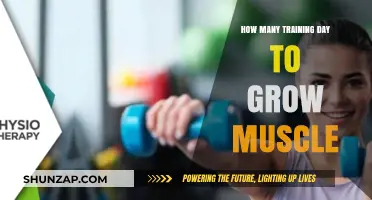 Effective Training Days for Muscle Growth: A Comprehensive Guide
