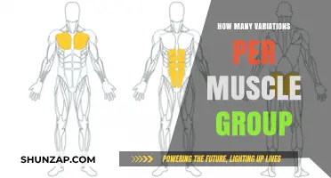 Optimal Muscle Growth: Variations per Muscle Group Explained