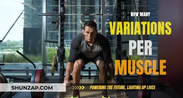 Variations to Target and Isolate Each Muscle Group