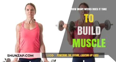 From Skinny to Strong: A Timeline for Muscle Building Success
