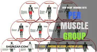 Optimal Working Sets for Muscle Growth: A Group-Specific Guide