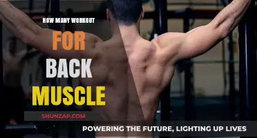 Effective Back Muscle Workouts: A Comprehensive Guide