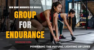 Optimal Workout Frequency for Building Muscle Endurance Effectively