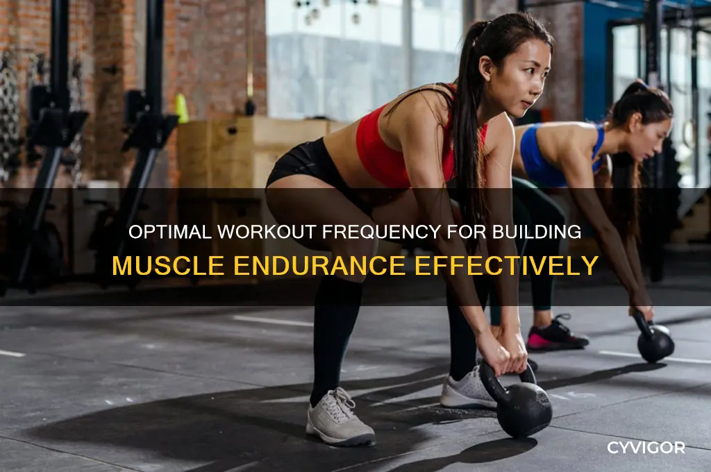 how many workouts per muscle group for endurance