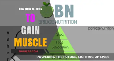 Fuel Your Muscle Growth: Optimal Caloric Intake for Strength Gains