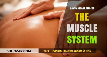 Unwinding Tension: The Profound Impact of Massage on Muscles