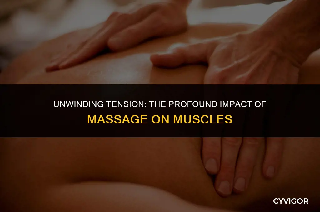 how massage affects the muscle system